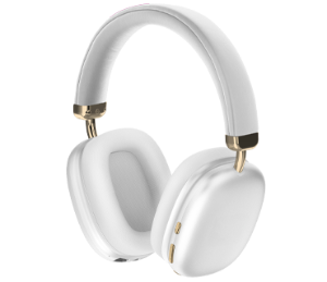 Sentry Active Noise Canceling Headphones