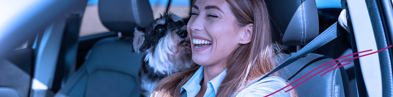 Person in a car with their dog sitting passenger