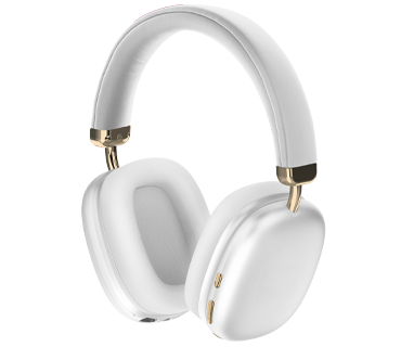 Sentry Active Noise Canceling Headphones